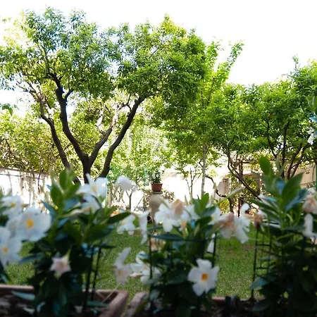 Apartment Casa Teresinella Garden Torre Annunziata